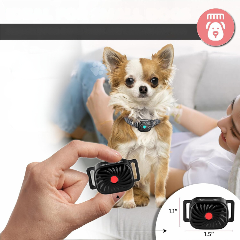 QuietTail - Anti-Bell-Halsband für kleine Hunde & Welpen - Sanft & Effektiv