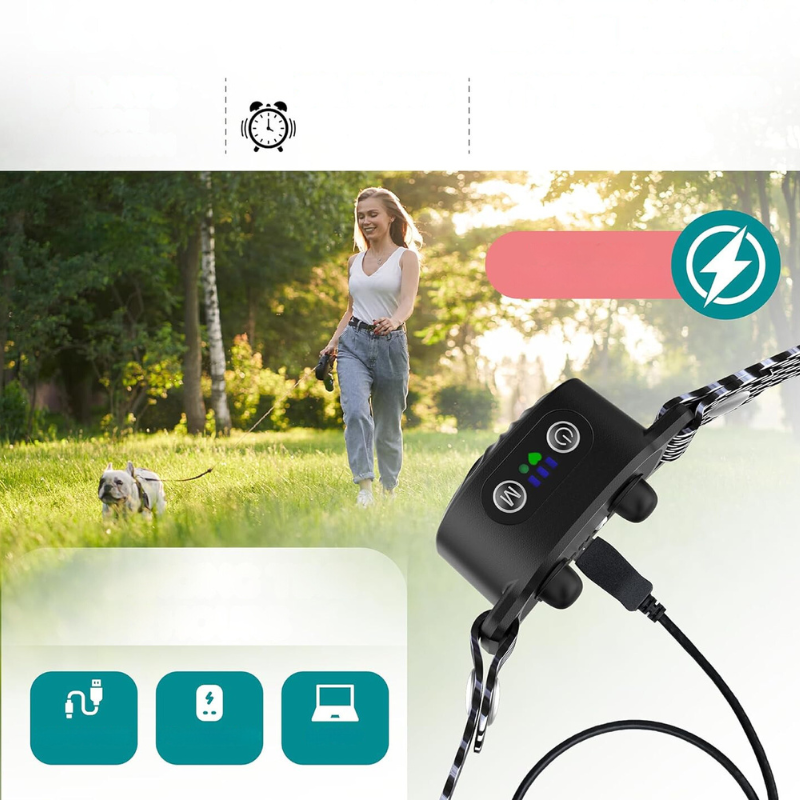 QuietTail - Anti-Bell-Halsband für kleine Hunde & Welpen - Sanft & Effektiv
