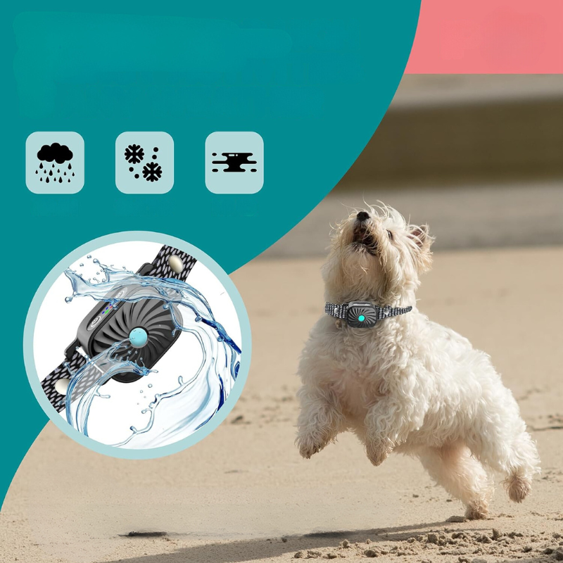 QuietTail - Anti-Bell-Halsband für kleine Hunde & Welpen - Sanft & Effektiv