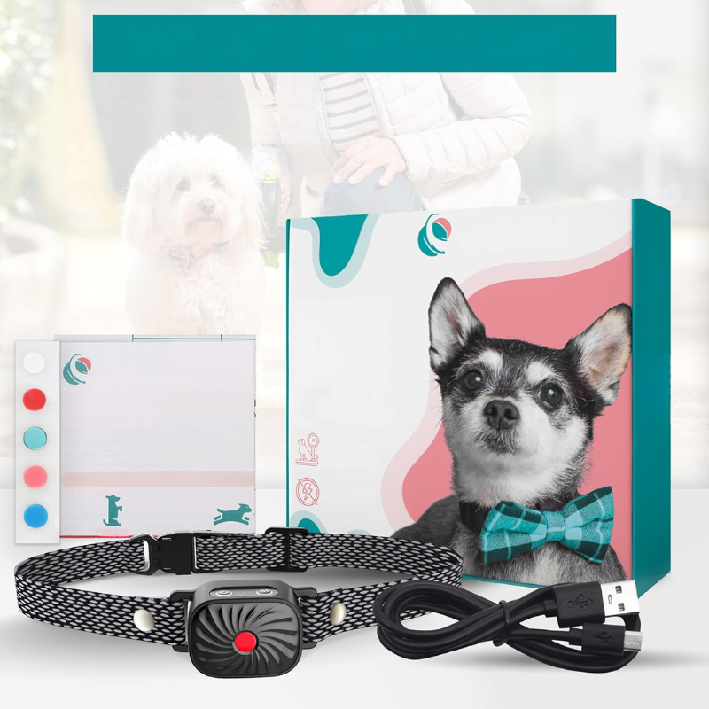 QuietTail - Anti-Bell-Halsband für kleine Hunde & Welpen - Sanft & Effektiv