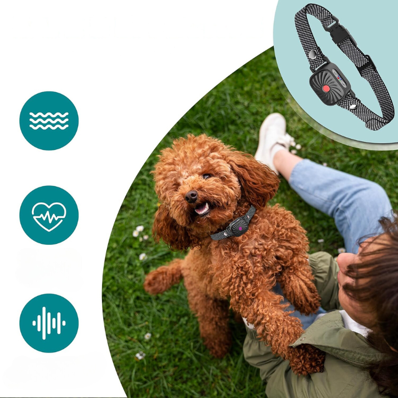 QuietTail - Anti-Bell-Halsband für kleine Hunde & Welpen - Sanft & Effektiv