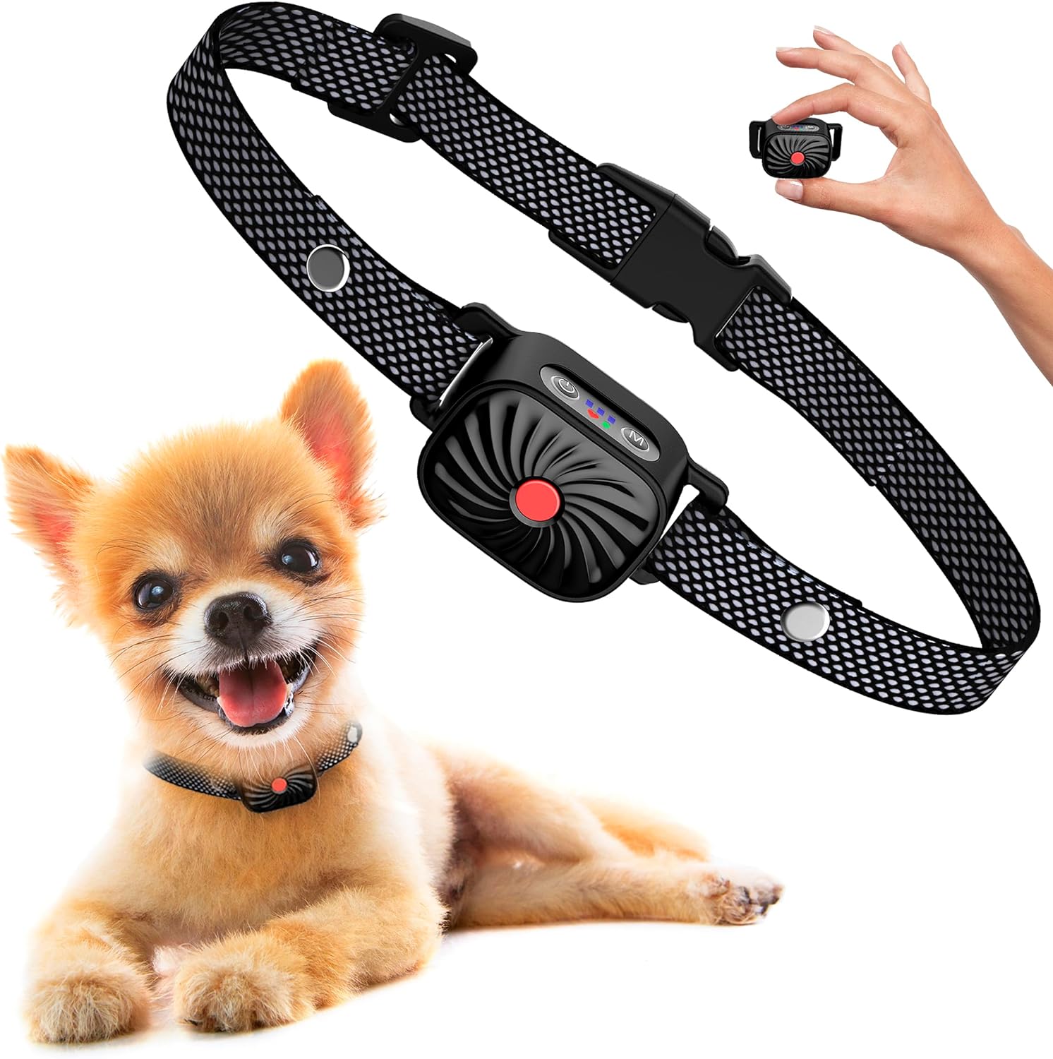QuietTail - Anti-Bell-Halsband für kleine Hunde & Welpen - Sanft & Effektiv